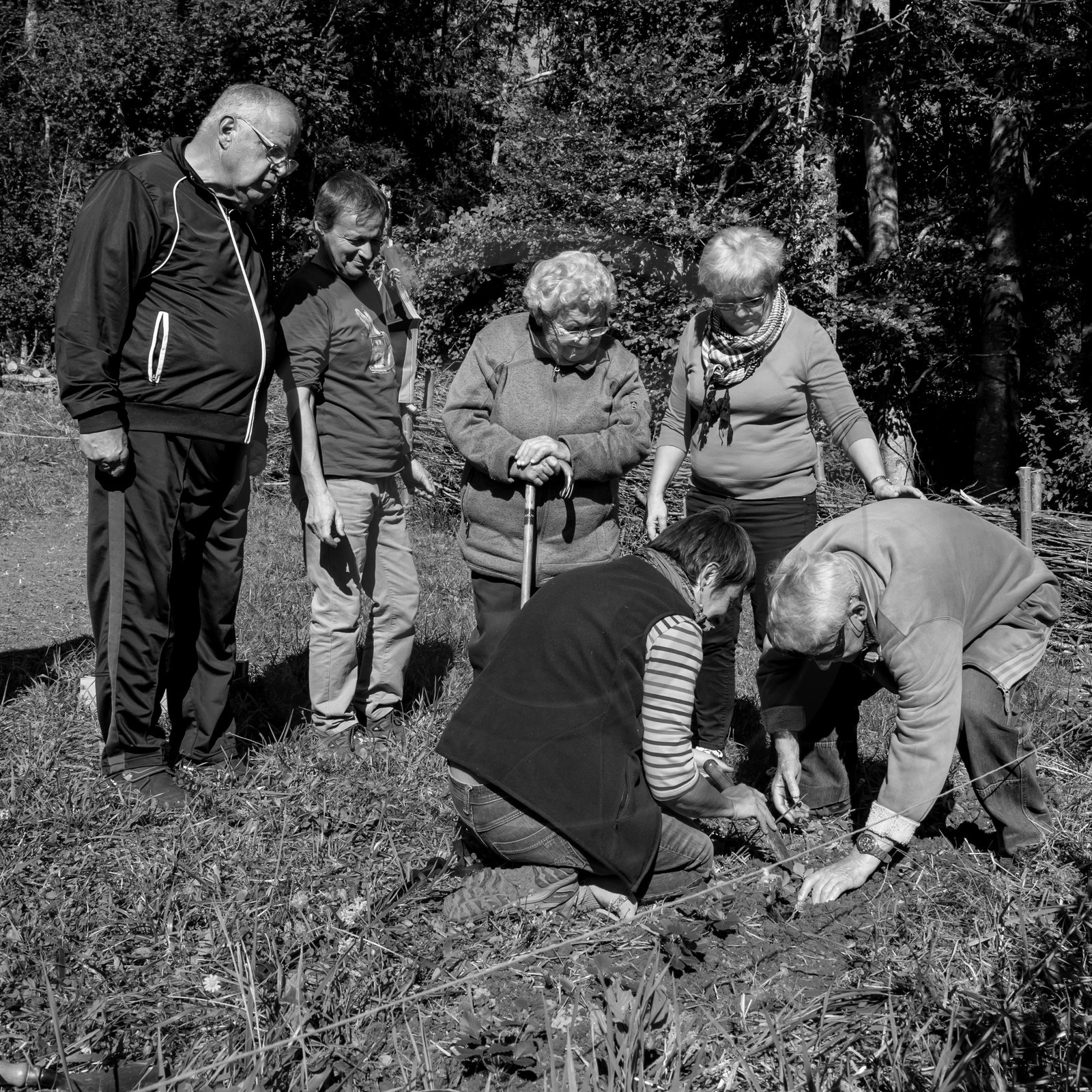 20 septembre 2017 - Jardinage