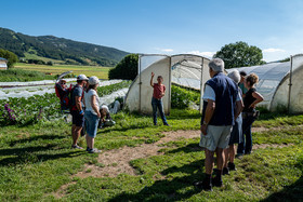 Légumontagne : maraichage biologique à Ancelle