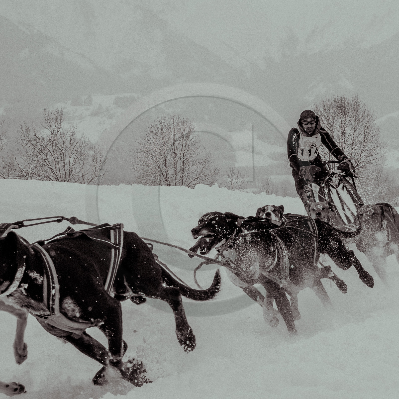 La Valgaude Traineau 2015