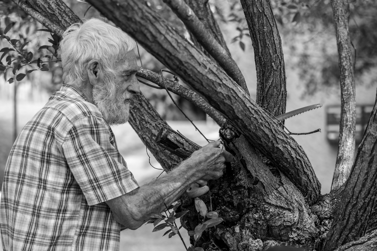 Le Noyer, village champsaurin