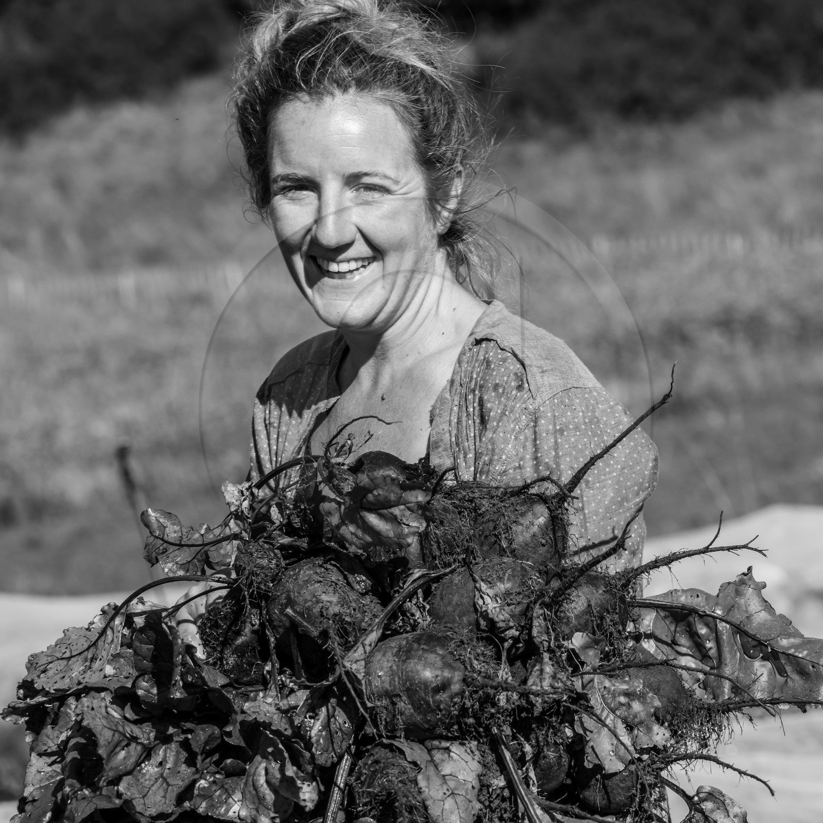 Maraichage biologique dans le Champsaur Maraichage biologique dans le Champsaur