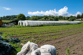 Légumontagne : maraichage biologique à Ancelle