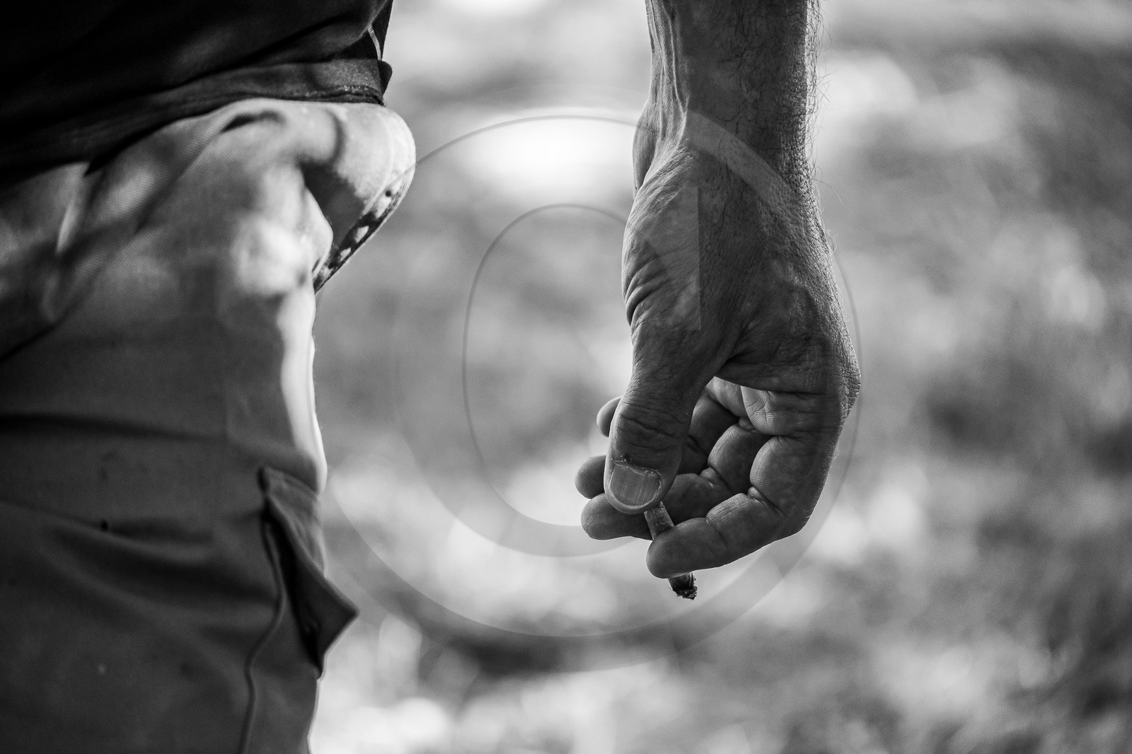 09 août 2023 : HydrOlique au jardin