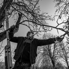 24 février 2021 : on taille, on prépare le jardin...