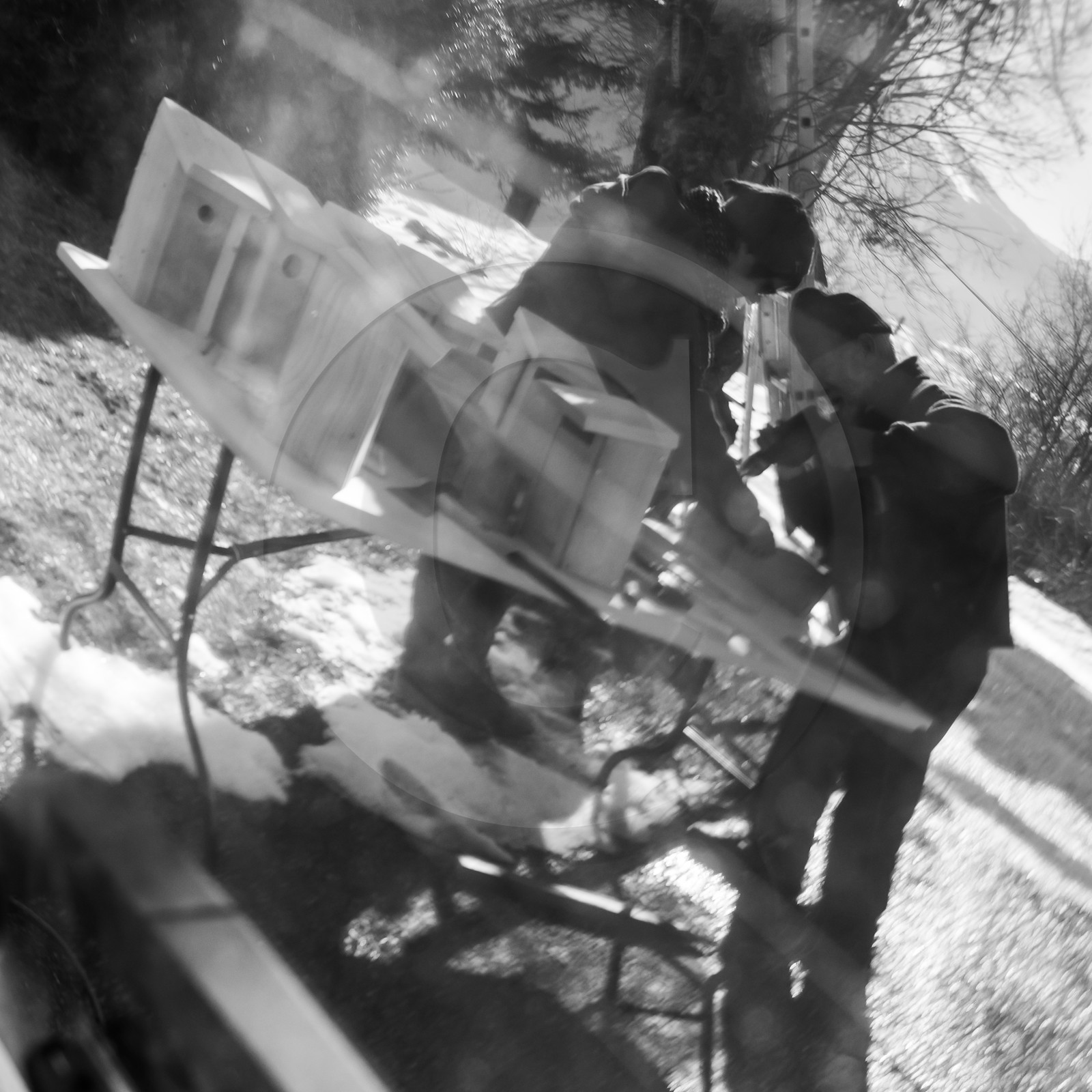 06 février 2019 : la pose des nichoirs