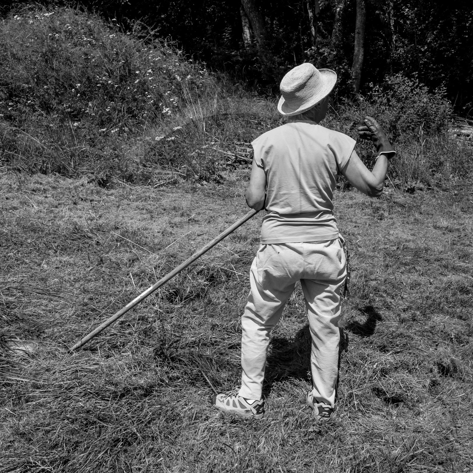 12 juillet 2017 - Moulins à vent