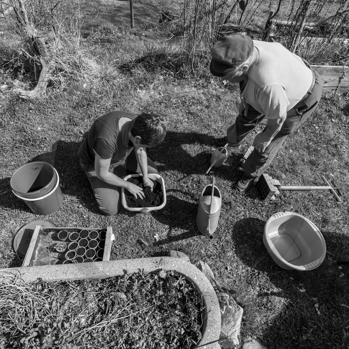 13 avril 2022 : épouvantails et petites graines 13 avril 2022 : épouvantails et petites graines