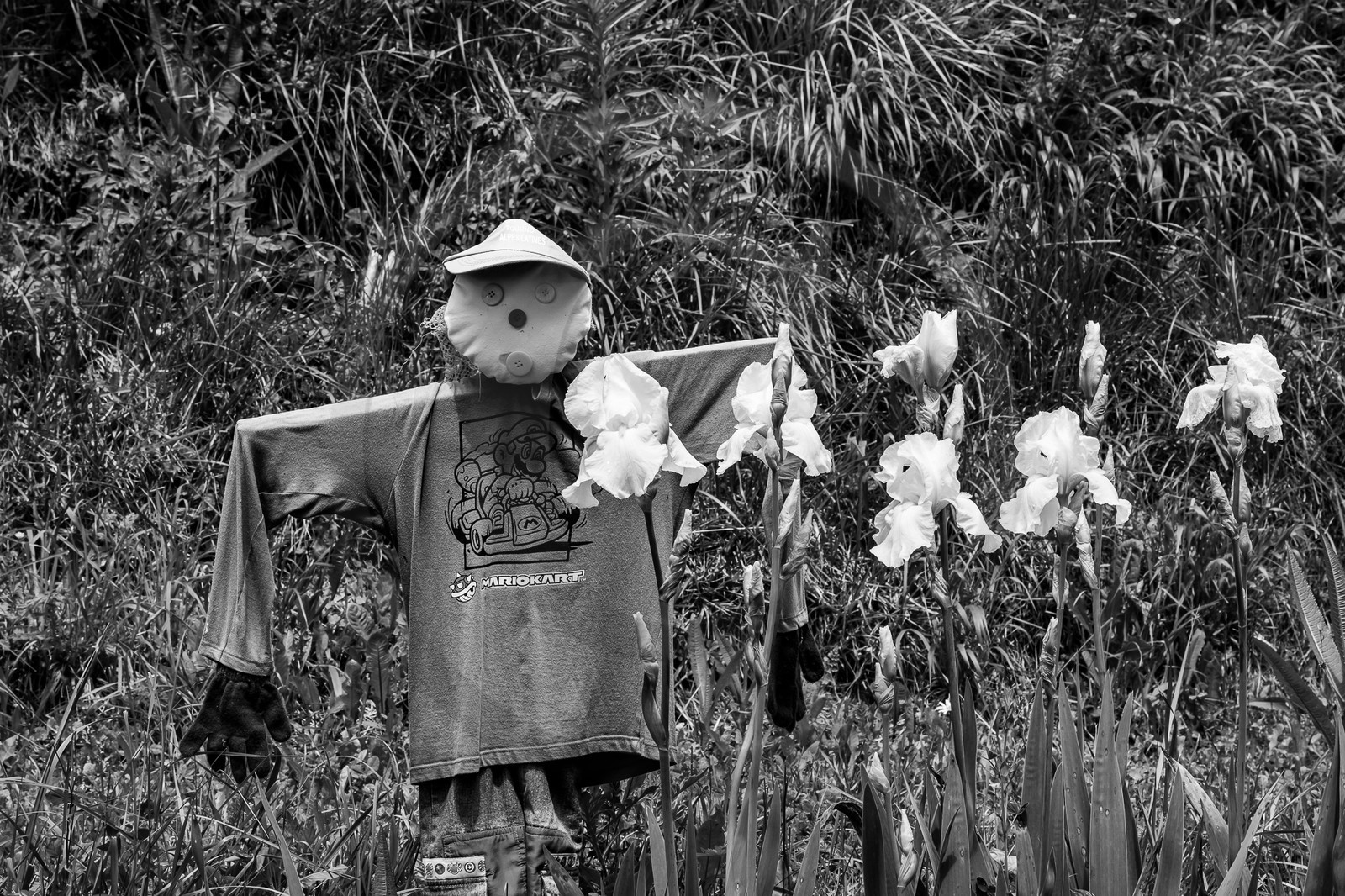 05 juin 2023 : journée des aidants et des aidés 05 juin 2023 : journée des aidants et des aidés