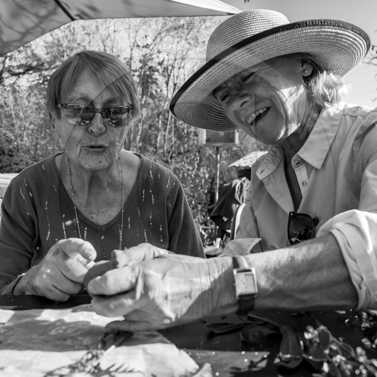 26 octobre 2022 : dernier mercredi de la saison à l'Ouort 26 octobre 2022 : dernier mercredi de la saison à l'Ouort