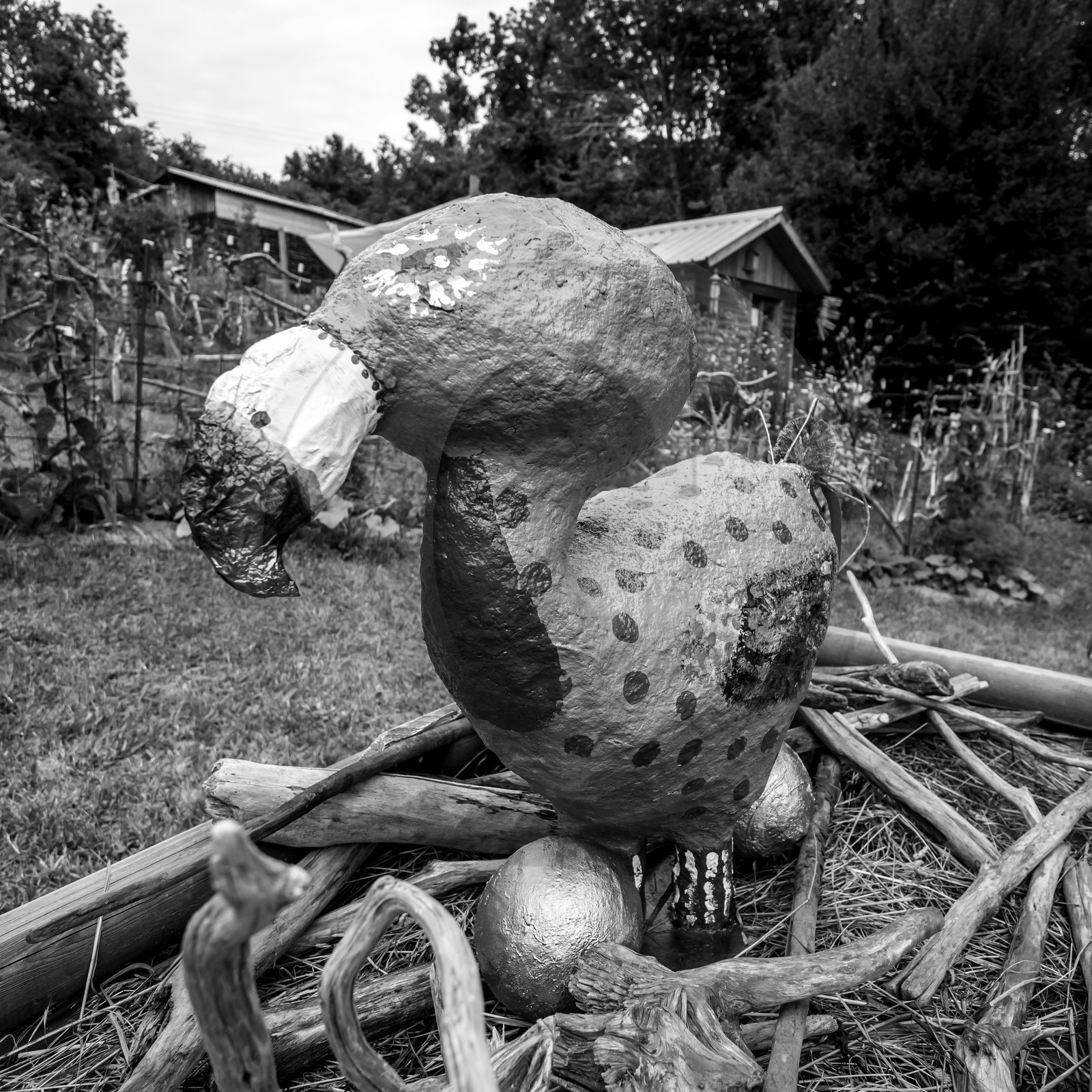 Exposition Alice Exposition Alice