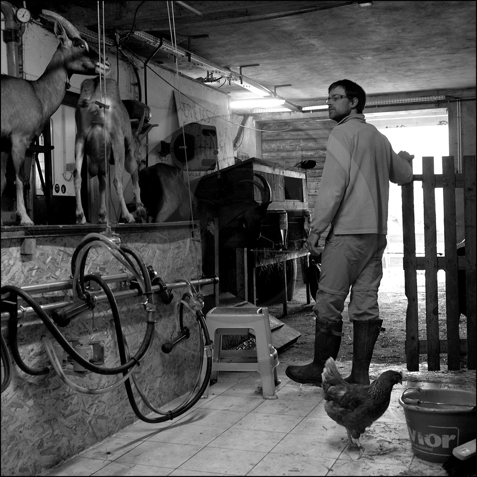 La Ferme des Cabrioles