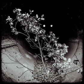 Centrale hydroélectrique du Beynon