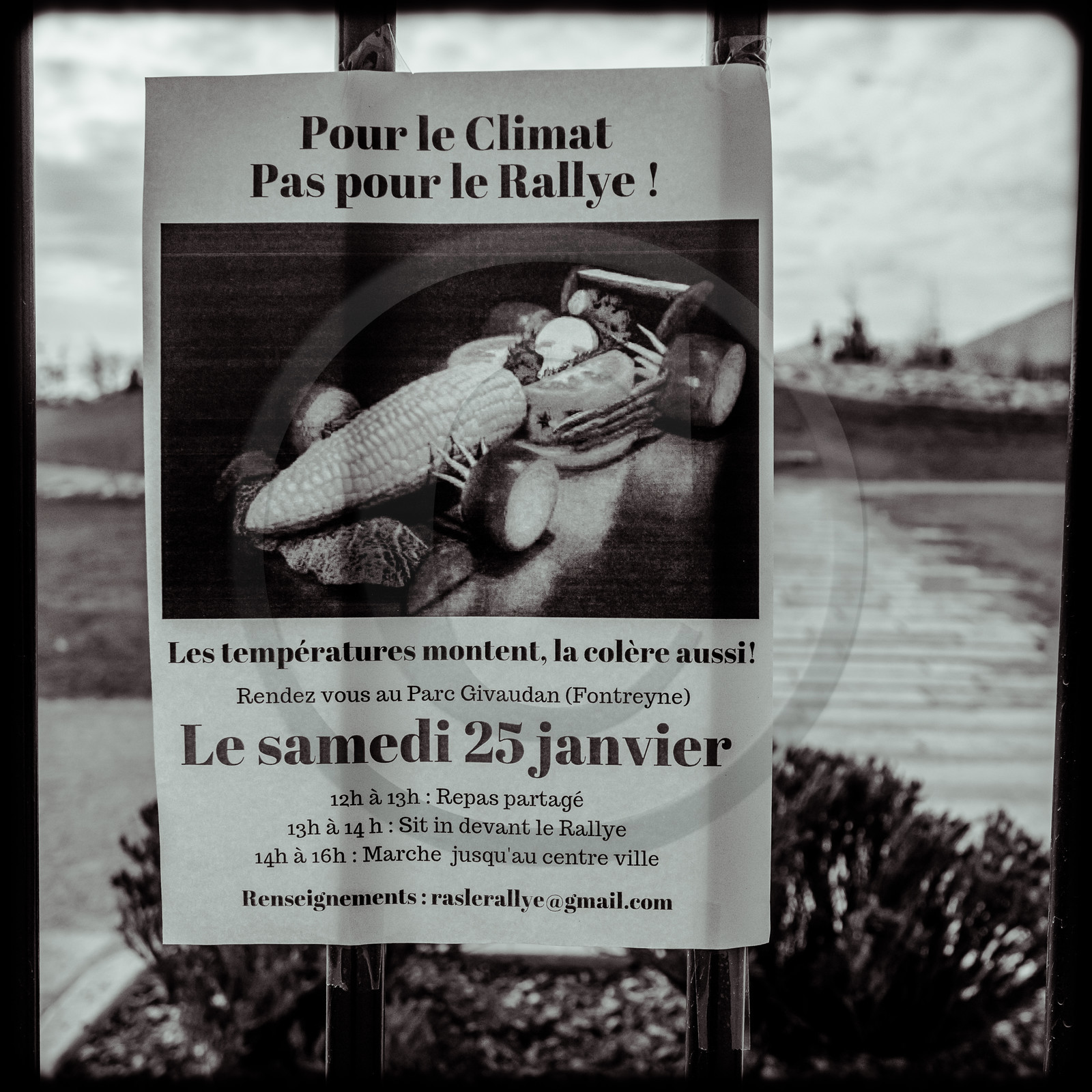 Ras Le Rallye