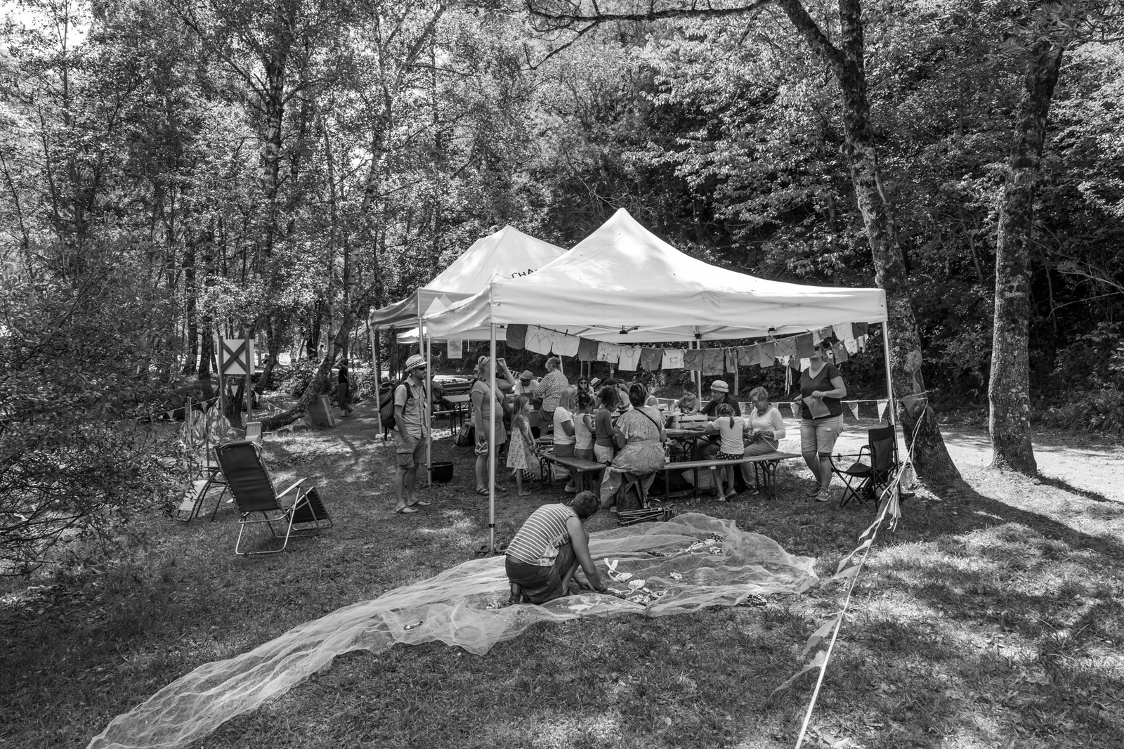 14 août 2025 : L'Echo des Mots