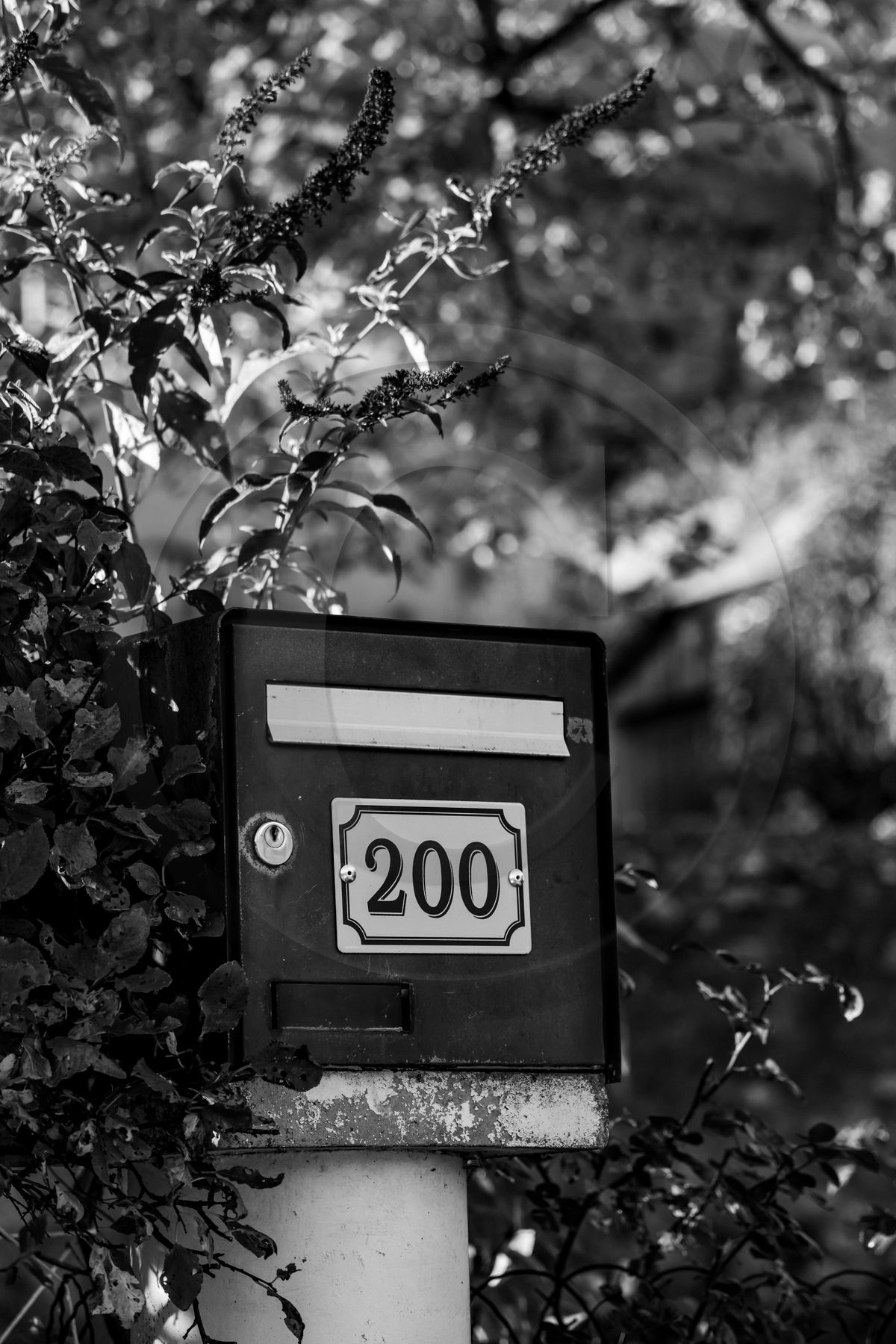 Des chiffres et des lettres