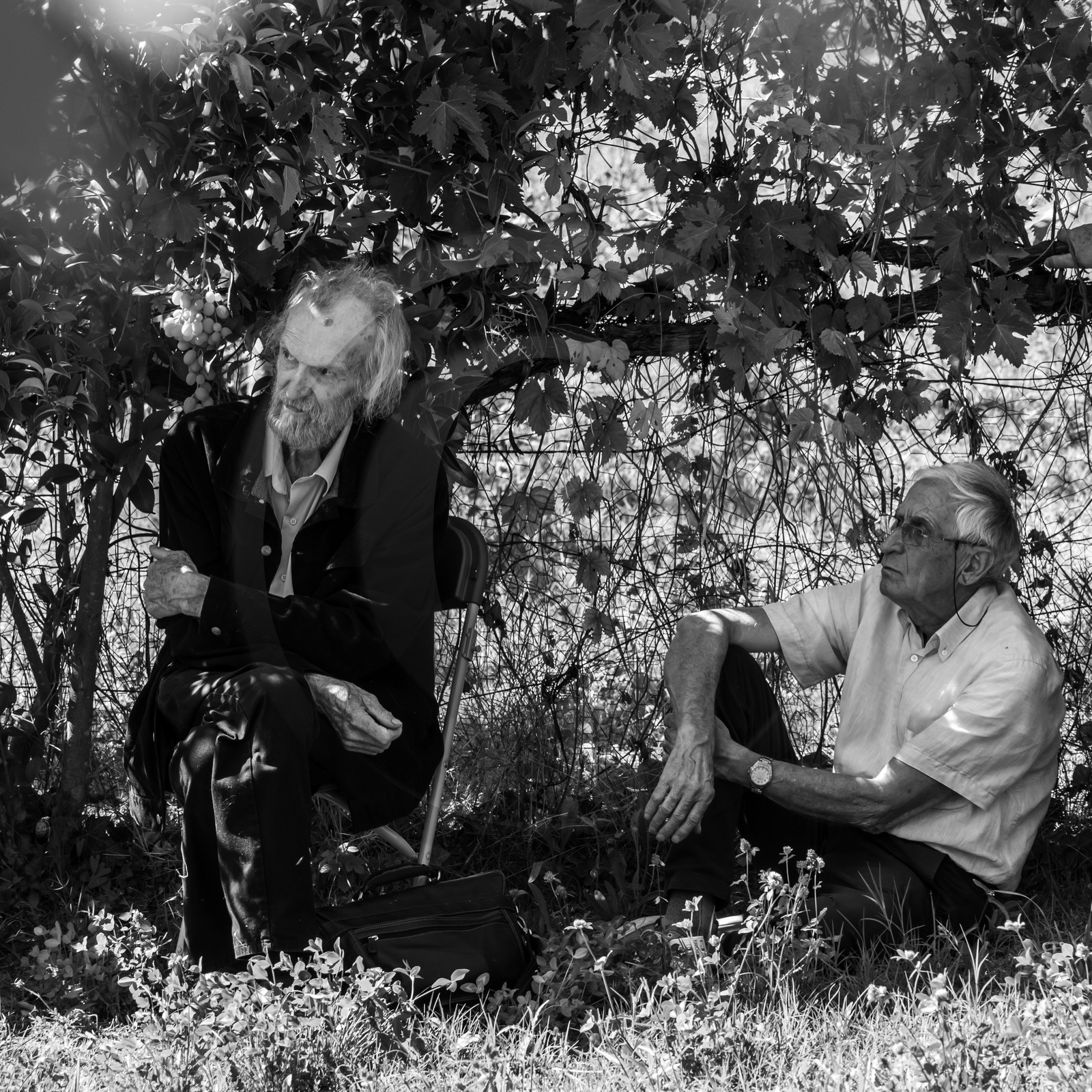 André Bucher - Rencontres Giono 2021 - Manosque