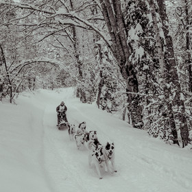 La Valgaude Traineau 2015