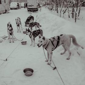 La Valgaude Traineau 2015
