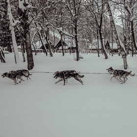 La Valgaude Traineau 2015
