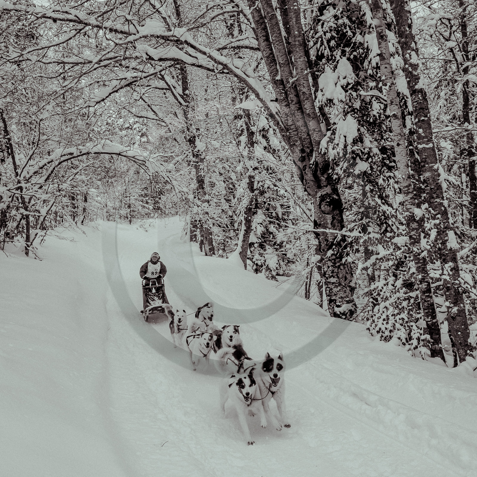 La Valgaude Traineau 2015