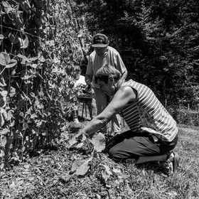 30 juin 2021 : Jardinage, jeux de cartes, masques