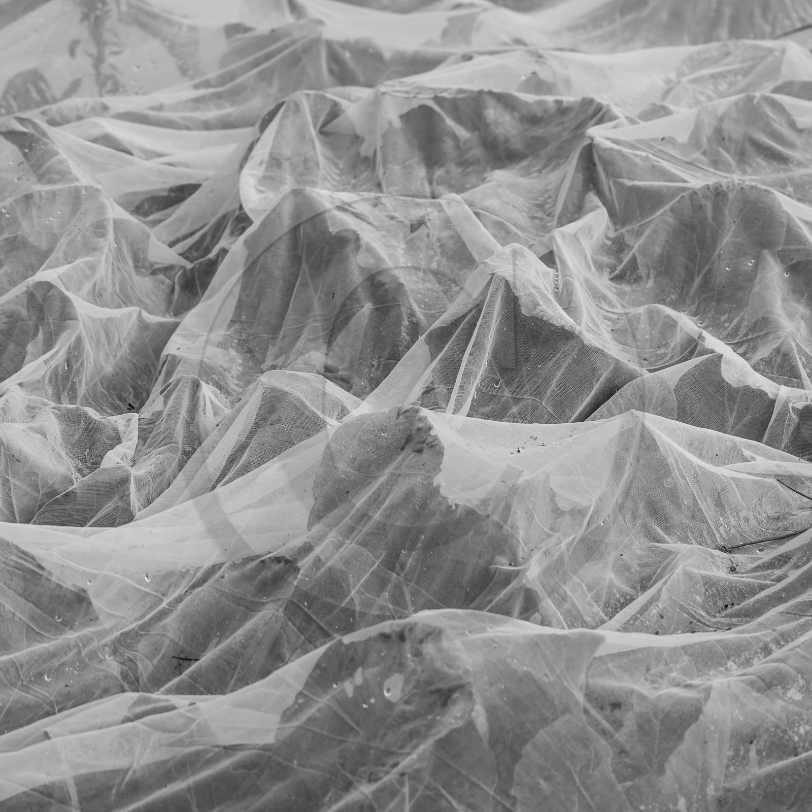 Maraichage biologique dans le Champsaur