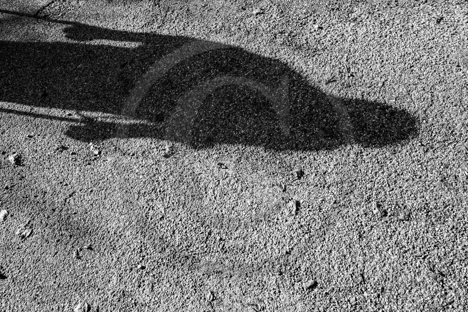 30 octobre 2024 : Découverte du Bao Pao avec Jean Schumtz et la compagnie La Puce à l'Oreille