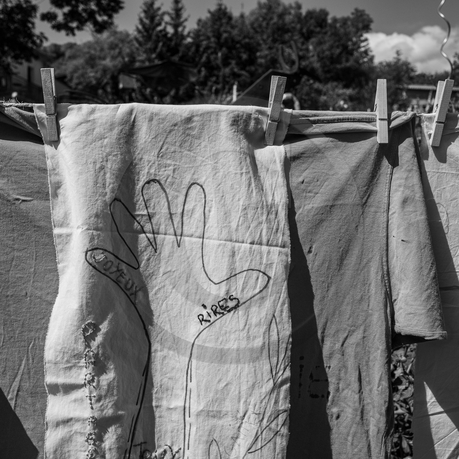 06 septembre 2023 : laine, couture et semis 06 septembre 2023 : laine, couture et semis