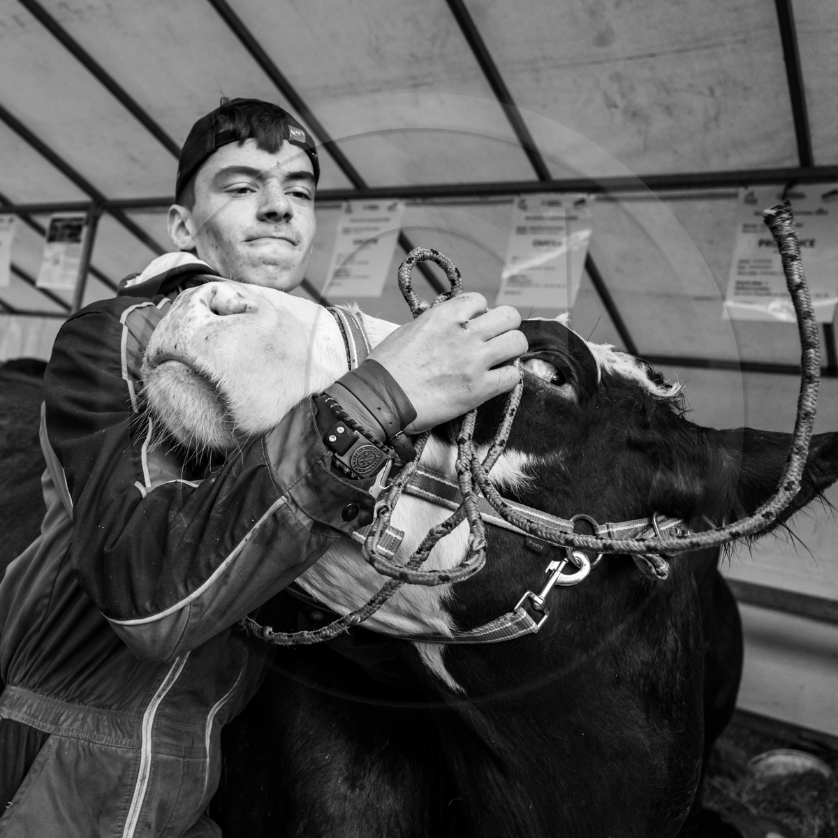 Rencontres paysannes à Saint-Bonnet en Champsaur