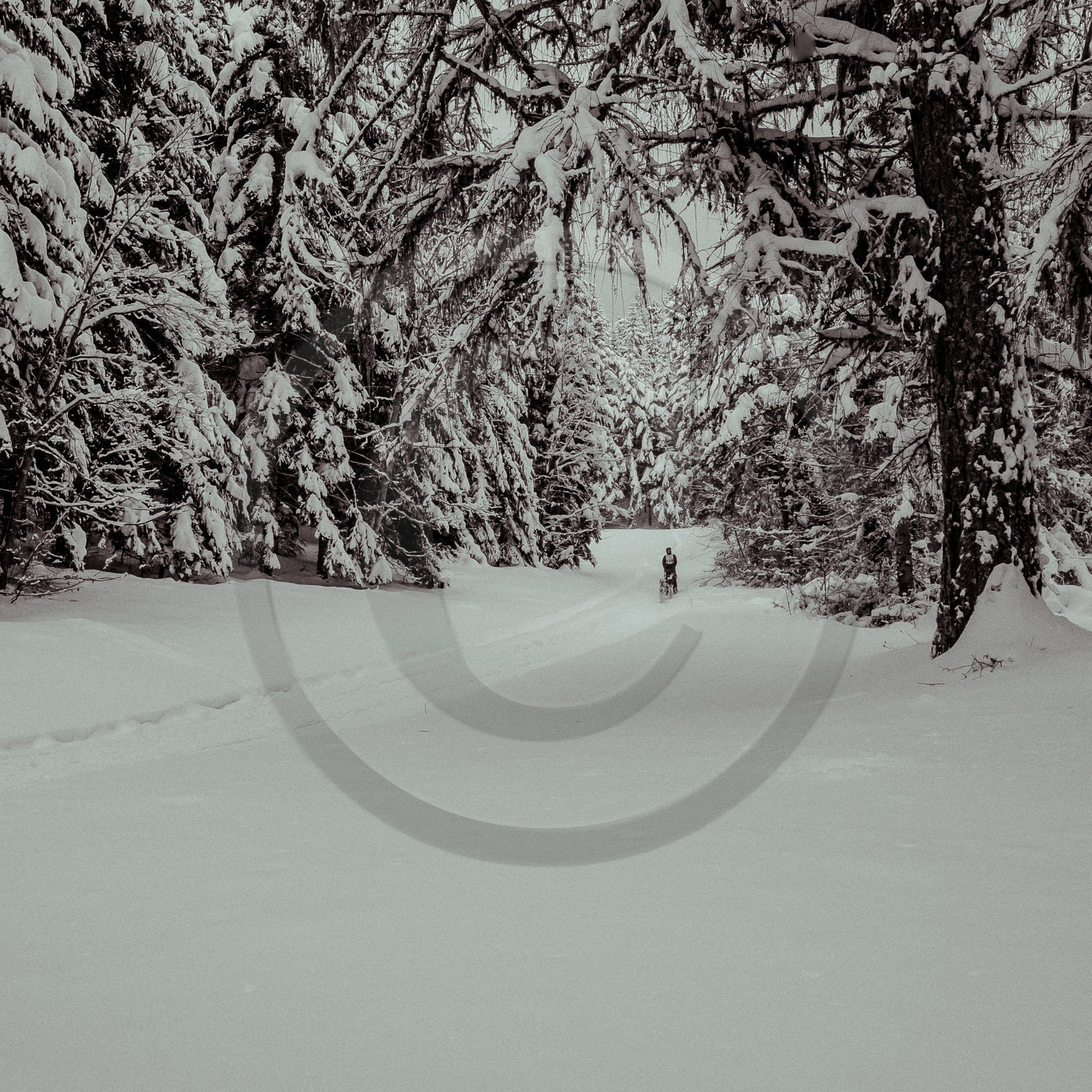 La Valgaude Traineau 2015