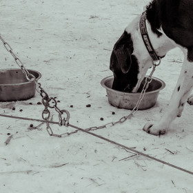 La Valgaude Traineau 2015