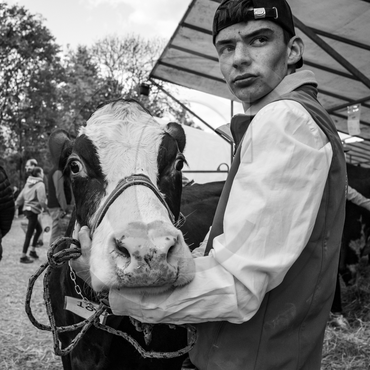 Rencontres paysannes à Saint-Bonnet en Champsaur
