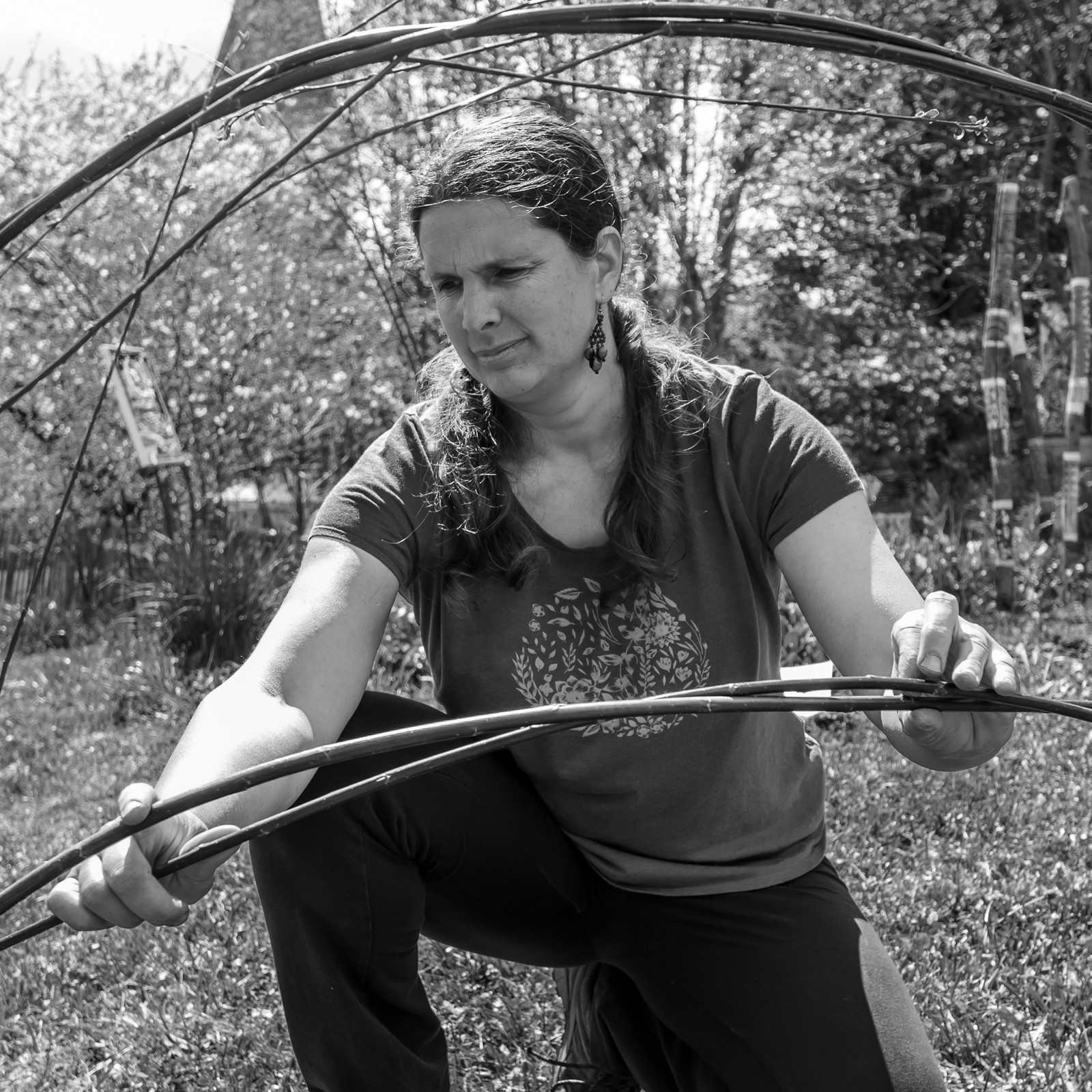 30 avril 2025 : Un oiseau en osier