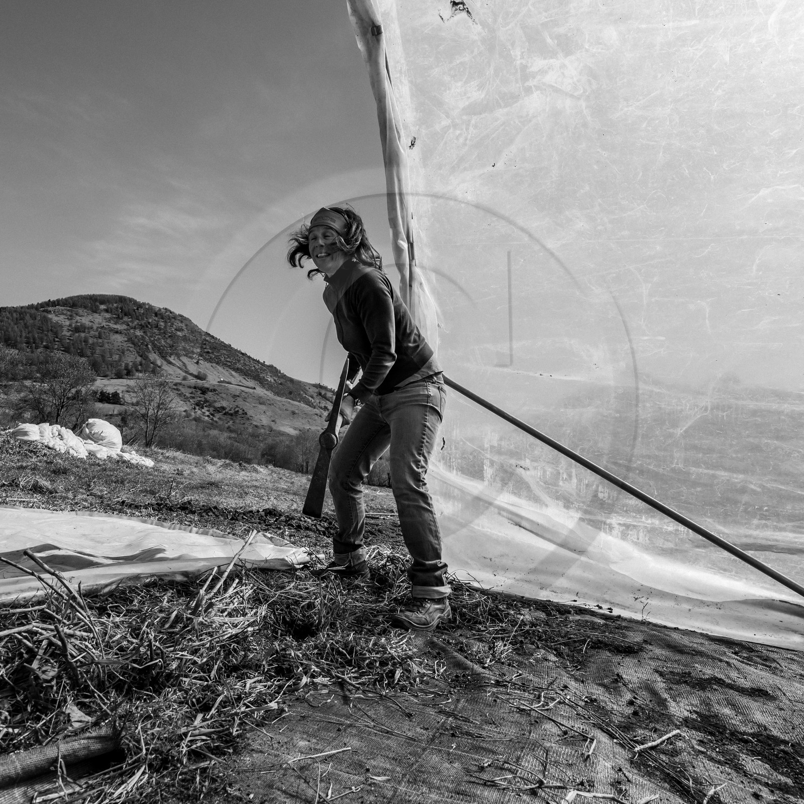 Montage de serres tunnel