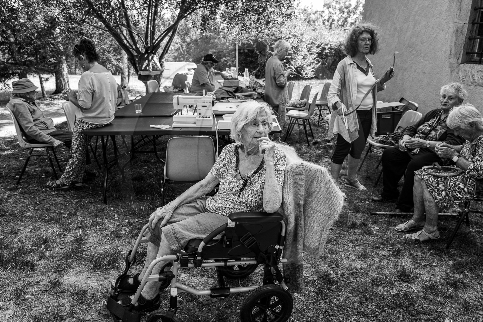 06 septembre 2023 : laine, couture et semis 06 septembre 2023 : laine, couture et semis