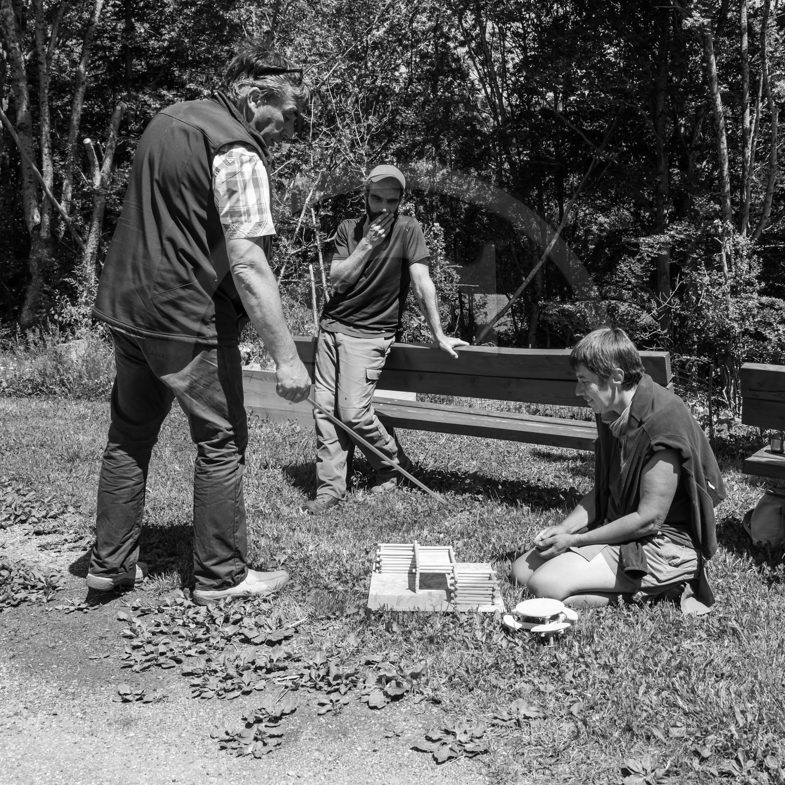 07 juin 2017 - Plantation - Haie - Réunion