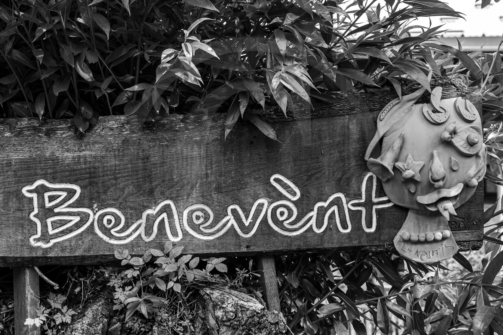 21 juin 2023 : Découverte botanique