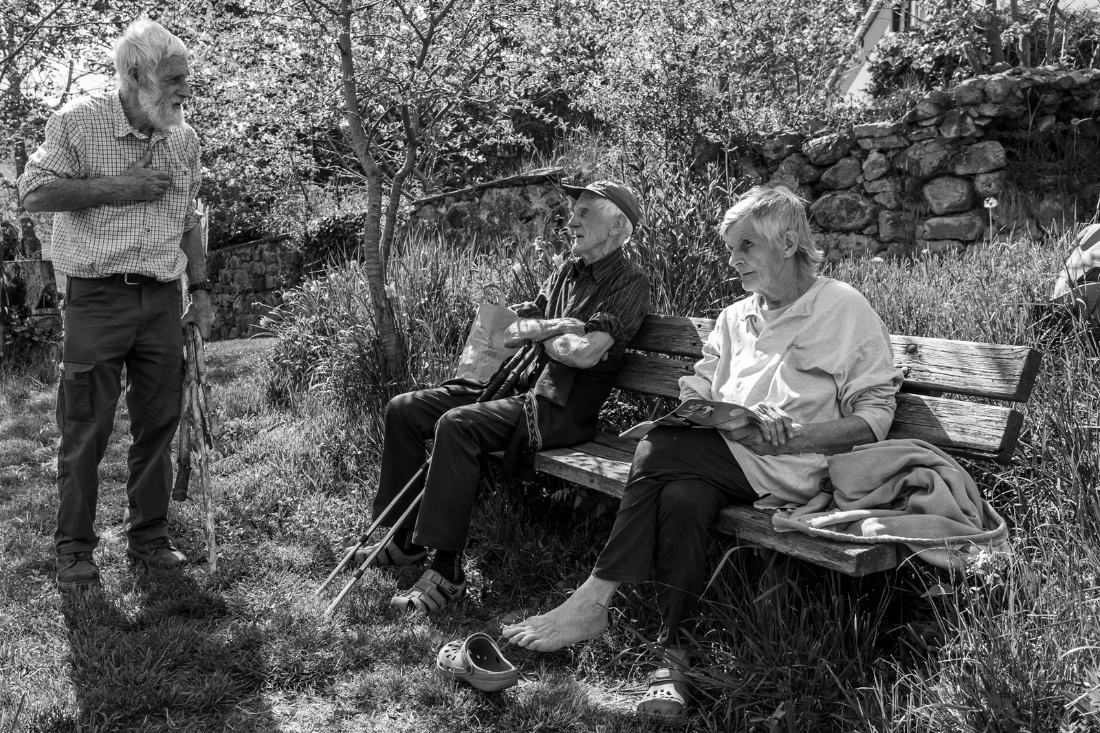 30 avril 2025 : Un oiseau en osier