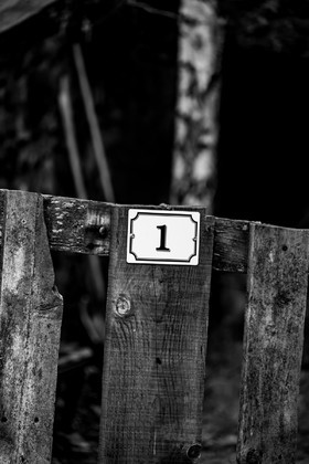 Des chiffres et des lettres