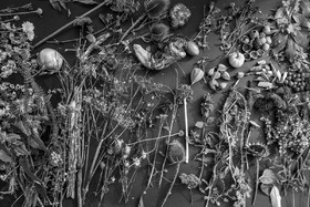 12 octobre 2022 : Land Art à l'Ouort