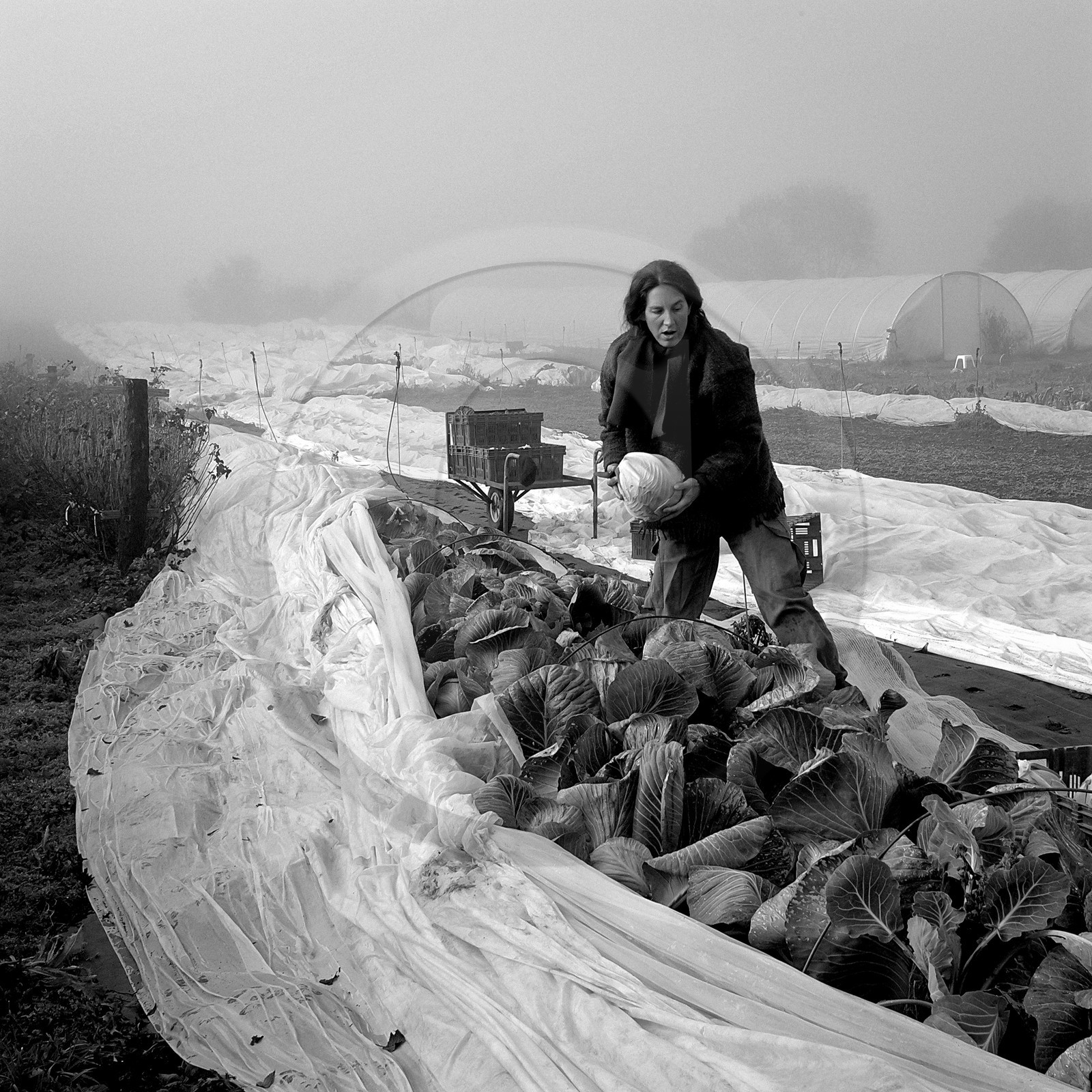 Sophie Jaussaud, maraichère à Ancelle