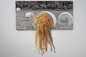 Exposition L comme laine, lien, lieu conçue par l'Ouort de Benevènt, sous la houlette de Claudine Meyer, artiste plasticienne, accompagnée de photographies de Denis Lebioda. Une proposition de la Communauté de Communes du Champsaur - Valgaudemar et de son service culturel.