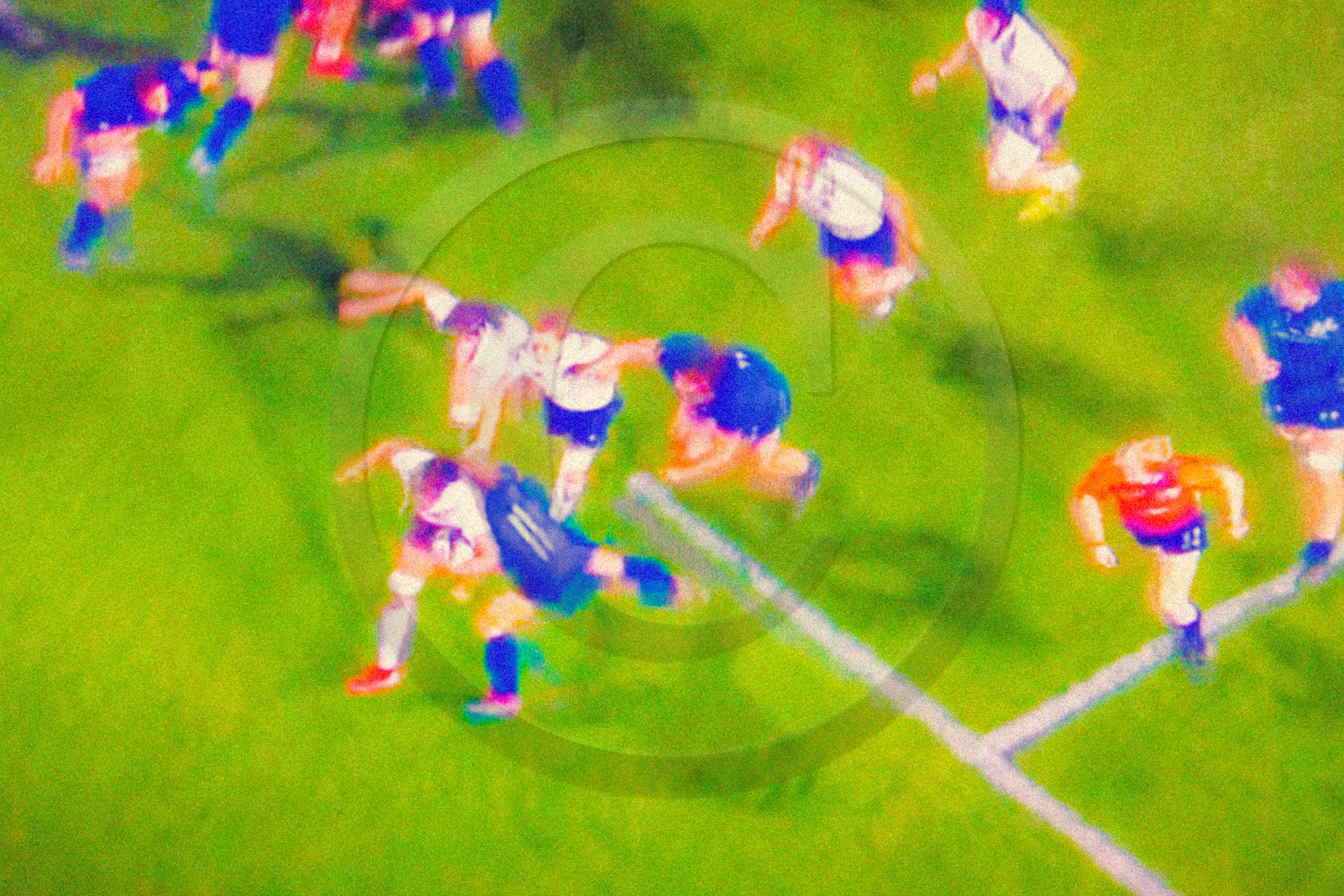 Rugby féminin Rugby féminin