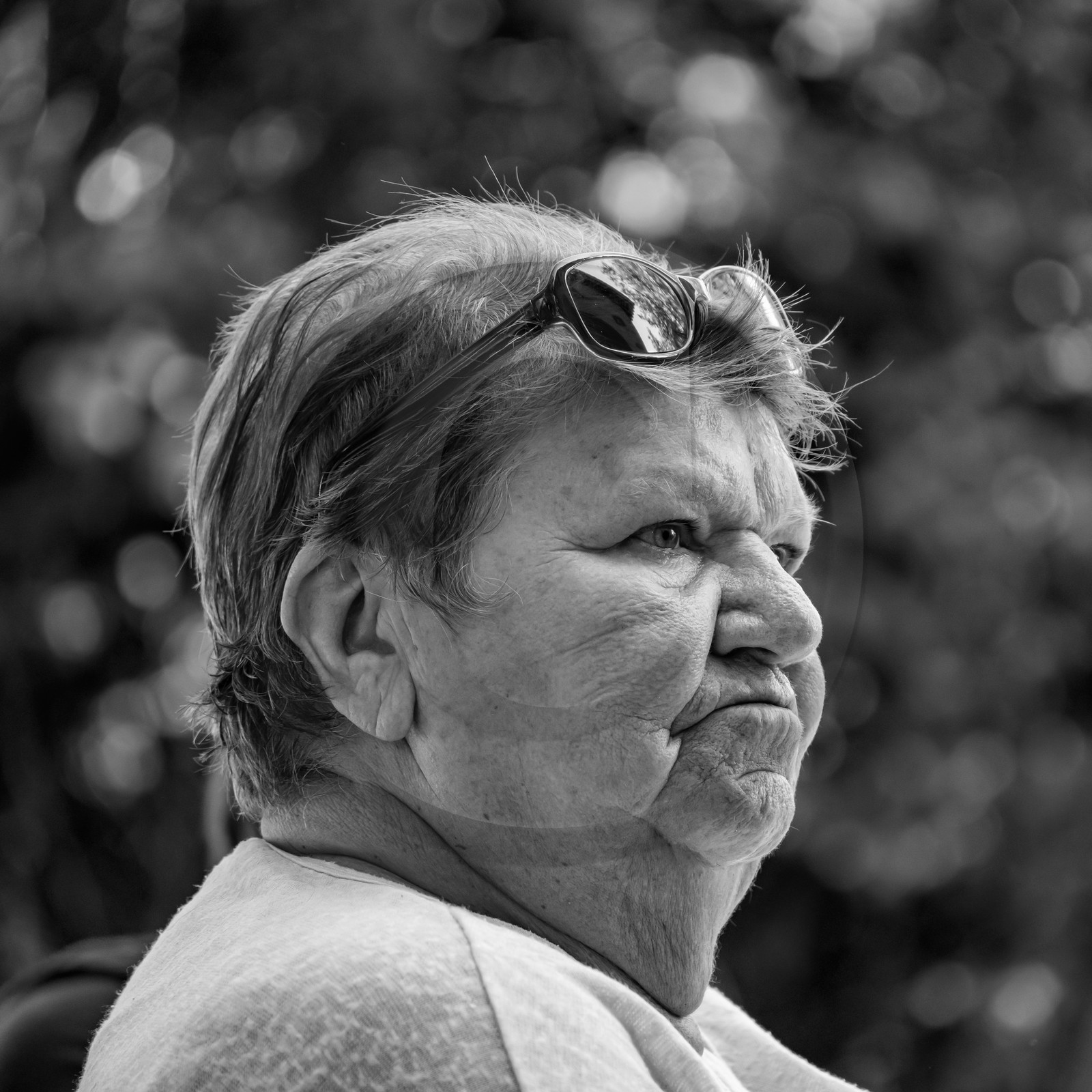 01 septembre 2021 : Promenade en cariole et contes