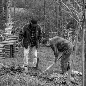 23 avril 2025 : Des oiseaux et des plantes