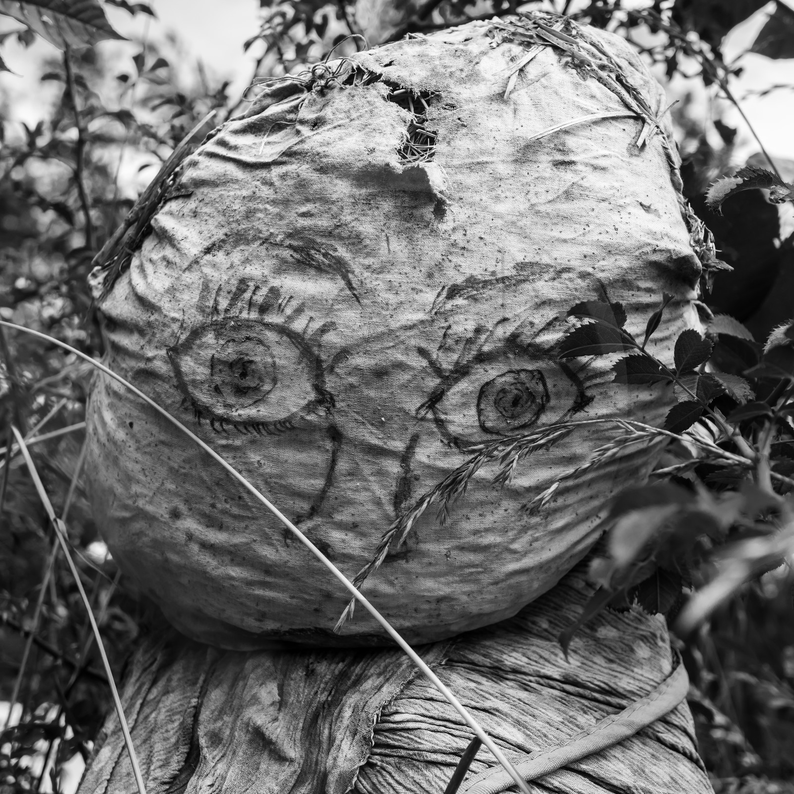 Promenades au jardin