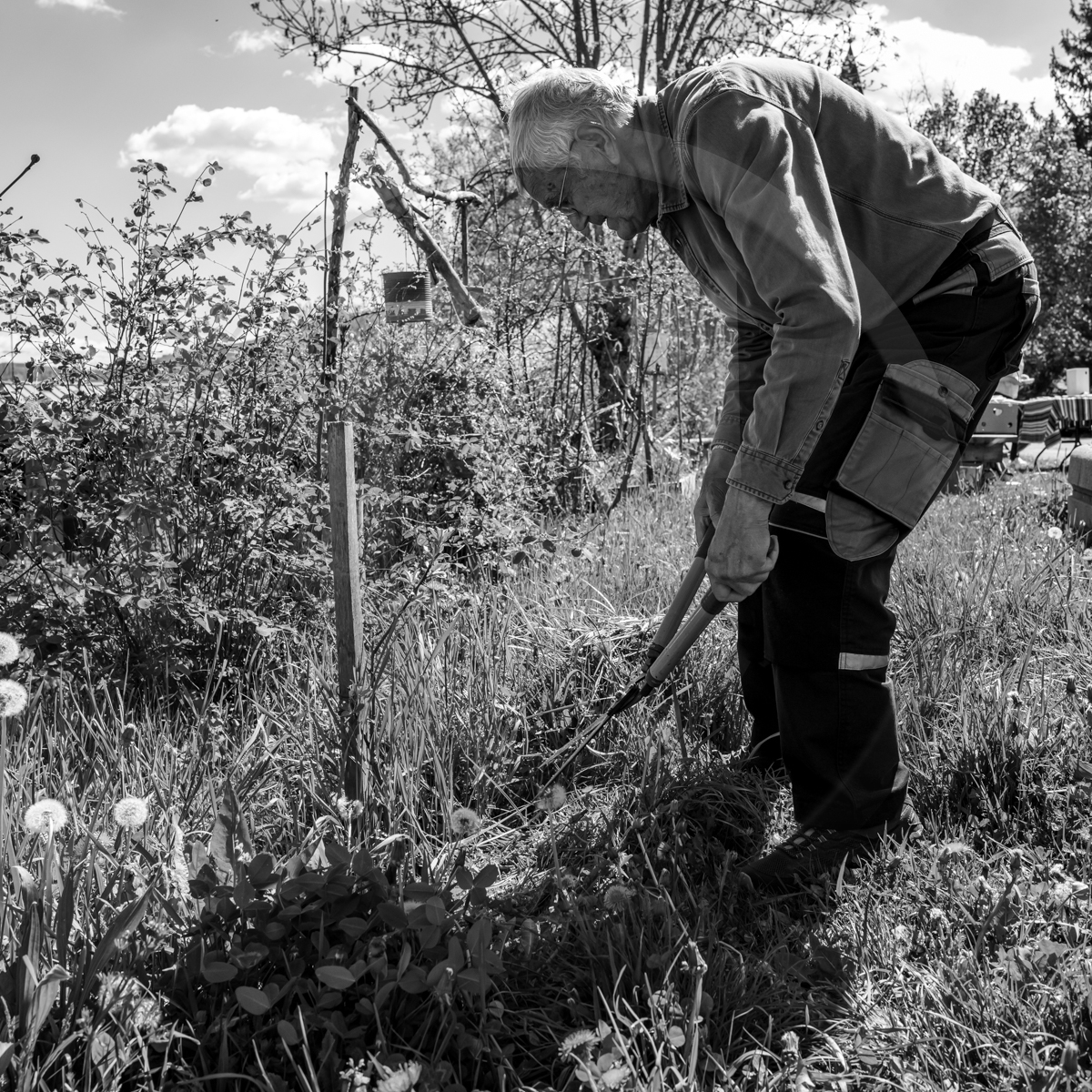 3 mai 2023 : Les fables de La Fontaine