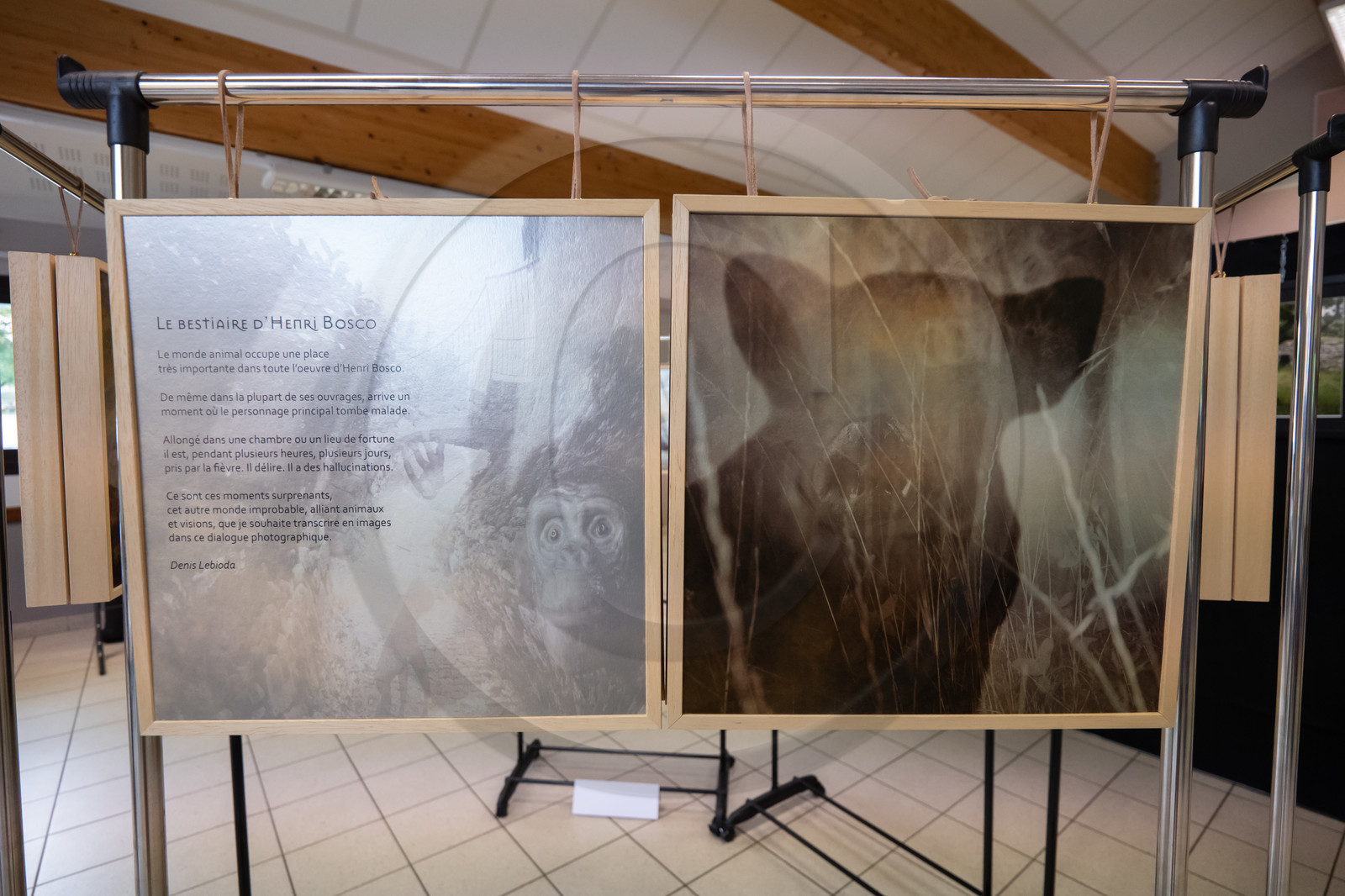 Automne photographique en Champsaur 2019 - Henri Bosco