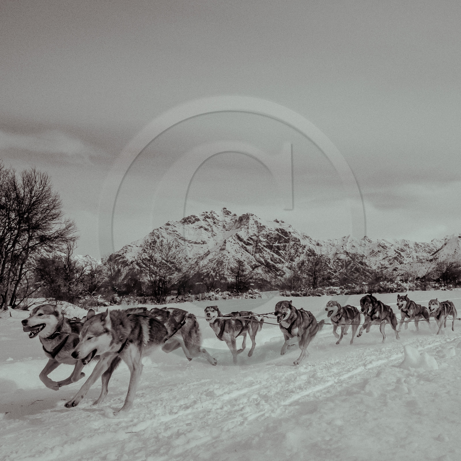 La Valgaude Traineau 2015 La Valgaude Traineau 2015