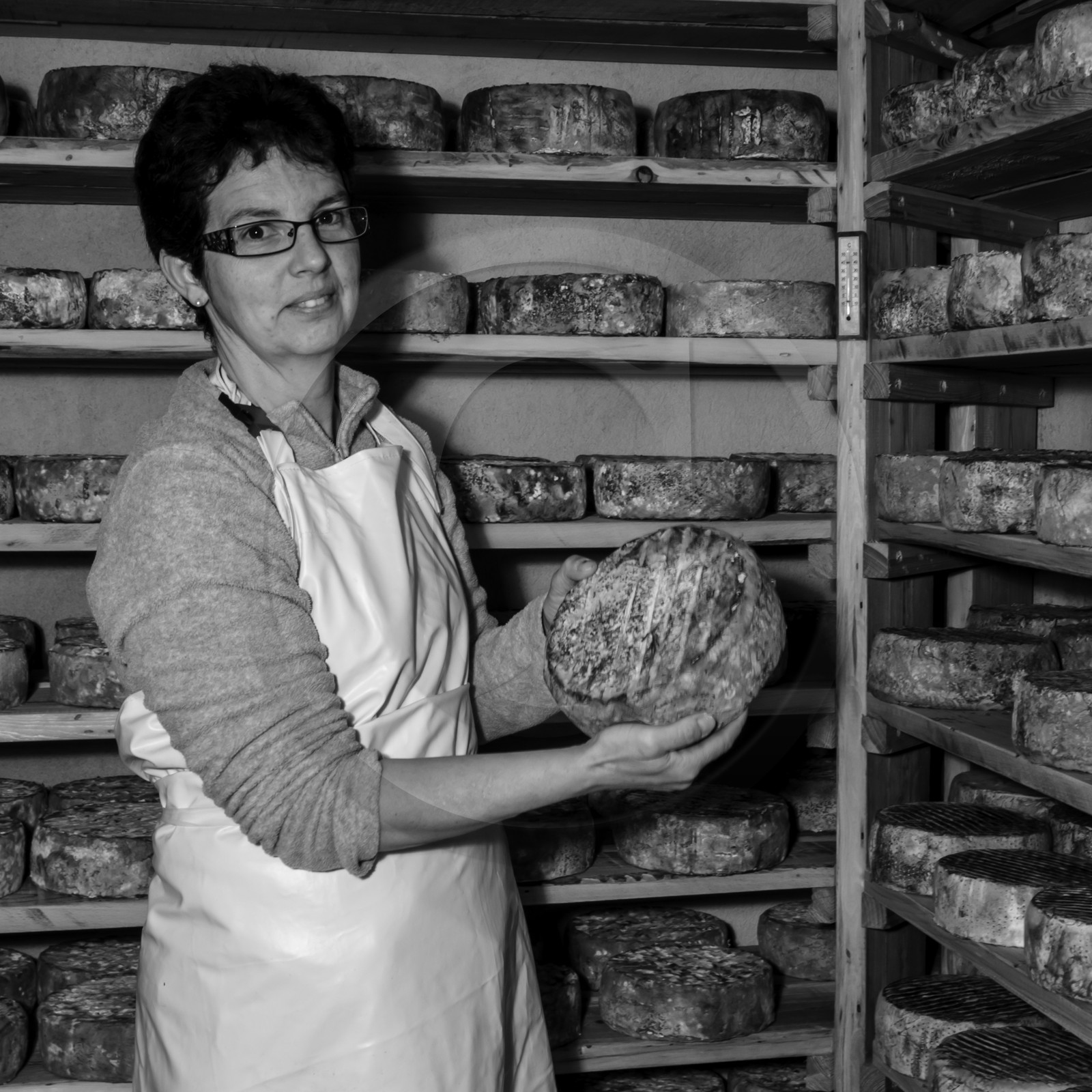 Le GAEC des Counières